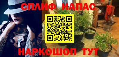 a pvp Краснознаменск