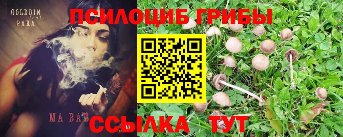 Галлюциногенные грибы MAGIC MUSHROOMS  Вход с VPN  Галлюциногенные грибы GOLDEN TEACHER  Каспийск 